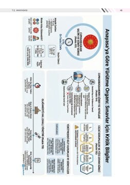 2026 Yapay Zeka Destekli MEB-AGS Mevzuat Ders Notları